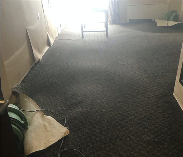Wet carpet with air movers underneath. 