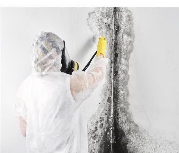 A professional disinfector in overalls processes the walls from mold